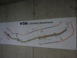 IMGP4118